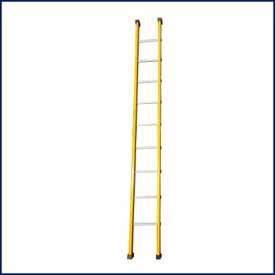 WALL SUPPORT LADDER
