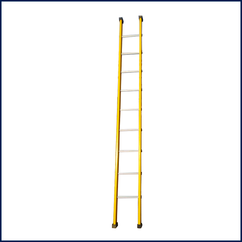 WALL SUPPORT LADDER